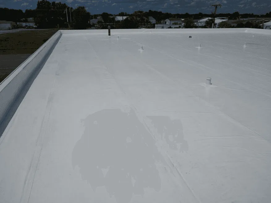 Recent Project Highlight 1