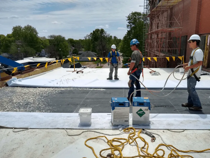 Recent Project Highlight 2