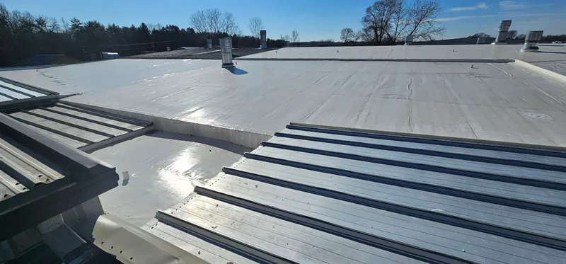 The Spectrum Fishing Project